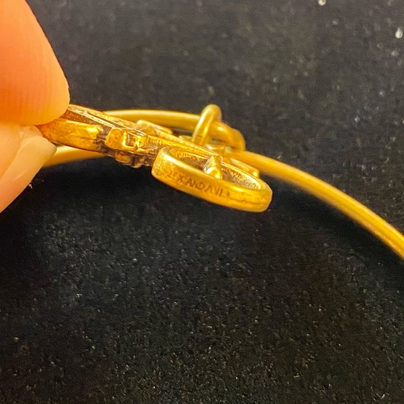 Alex and Ani Charity by Design Bike Rafaelian Gold Bangle Bracelet - Picture 14 of 14